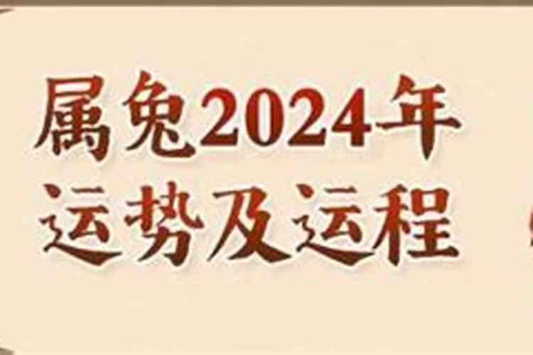 三年兔2024年运程