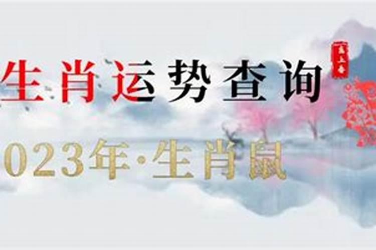 84年鼠2021每月运势