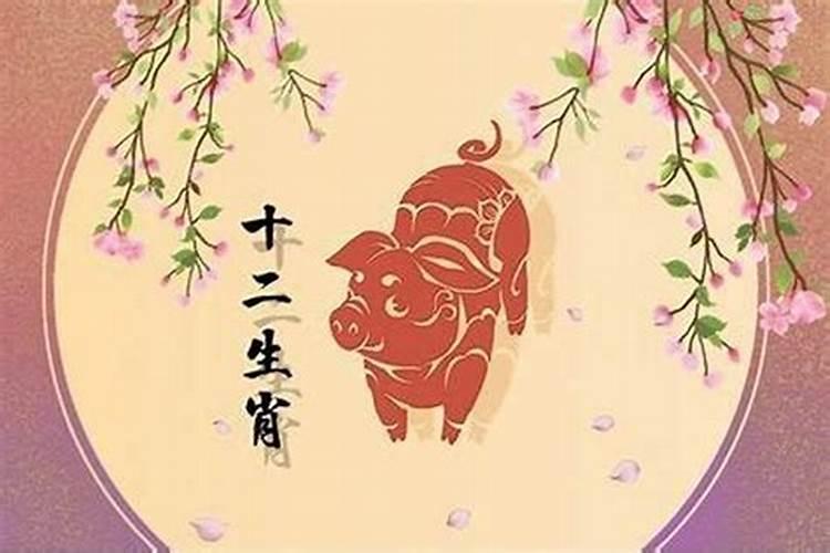 一九七八今年的运势如何