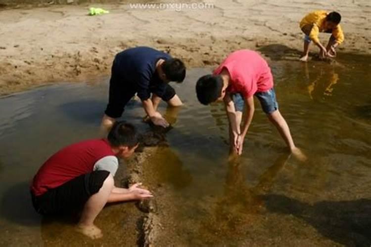 梦到抓虾抓鱼预示着什么意思