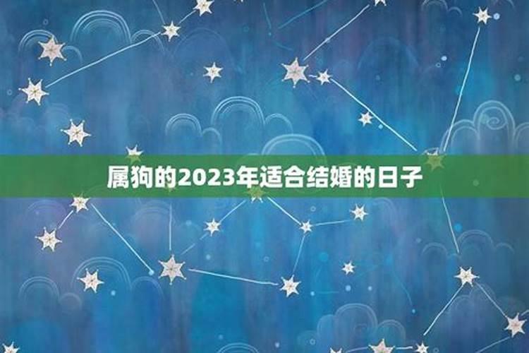 属狗的人今年结婚的吉祥日