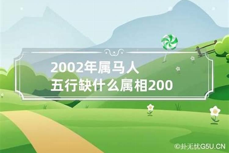 2002年属马杨柳木命五行缺什么