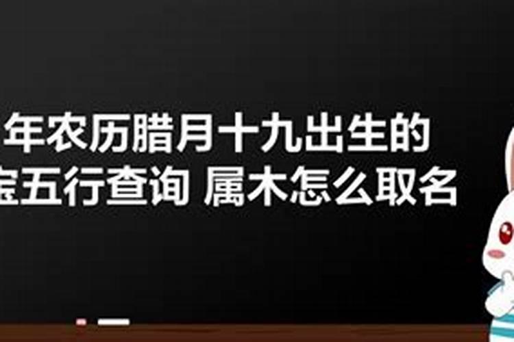 农历腊月十九出生的鼠宝宝