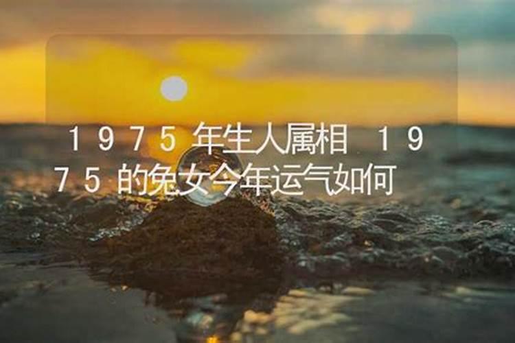 69年生人今年运势