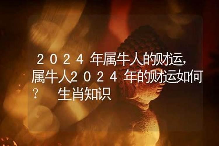 1977年属牛2024年运势如何？