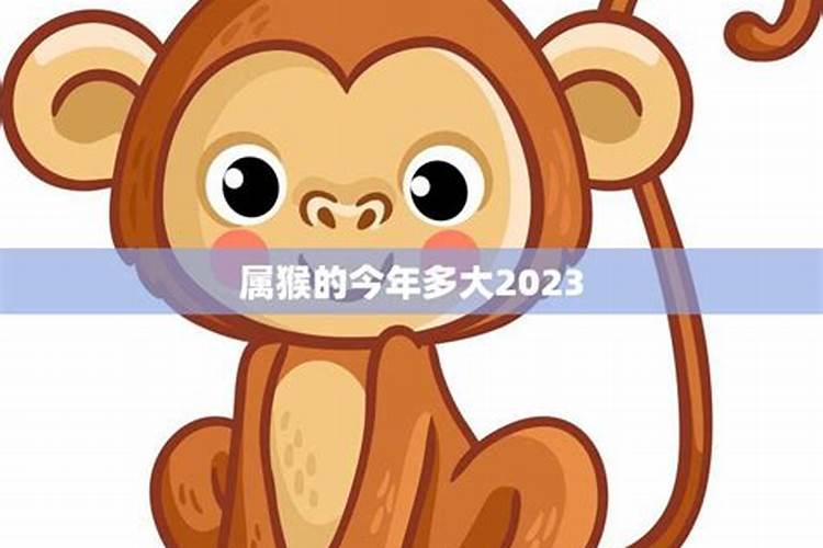 属猴的人今年多大2021