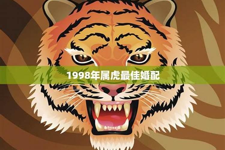 98年属虎跟属狗合不合