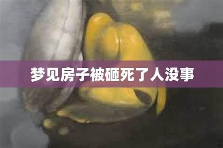 梦见干净的房子被人吐了一堆痰