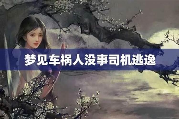 梦见车祸人没事司机逃逸了什么意思