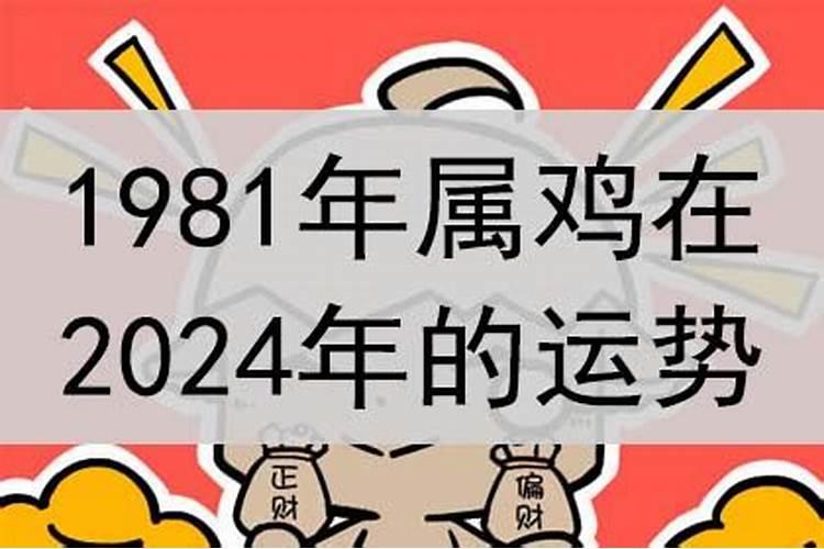 1981年属鸡在2024年一生运程