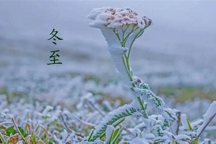 冬至是不是黄道吉日