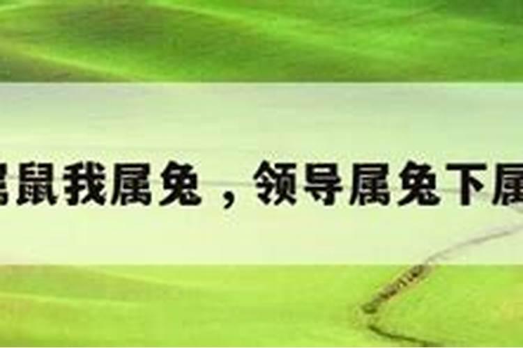 我属羊领导属鼠是不是八字不合呀