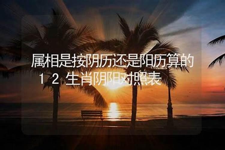 属相是以阴历还是阳历算