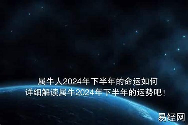 2024属牛下半年的运程