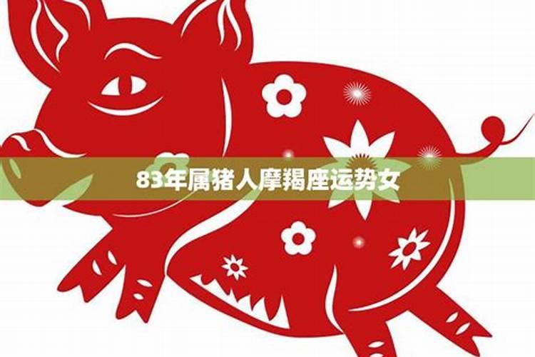 魔蝎女属猪2023年运程如何