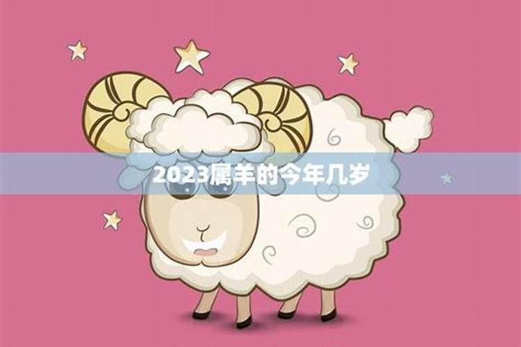 属羊的今年四十几岁了