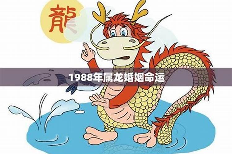 1988年属龙人的婚姻