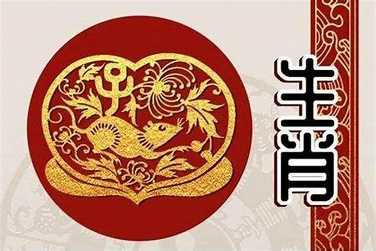 鼠年为什么属兔的不好