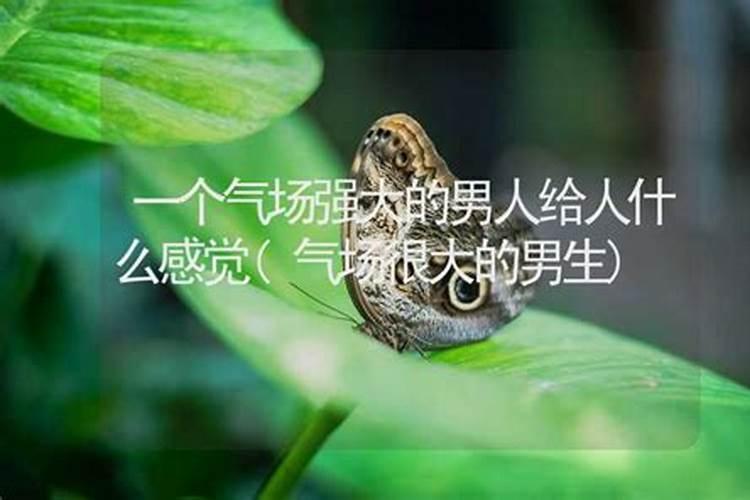 八字清秀是什么意思