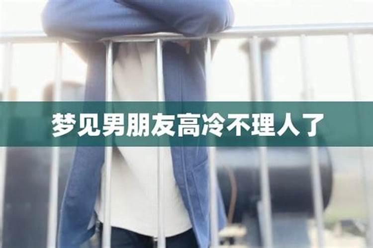 梦到男朋友什么情况不理我