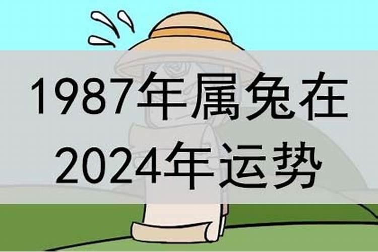 1987男兔在2024年的运势运程