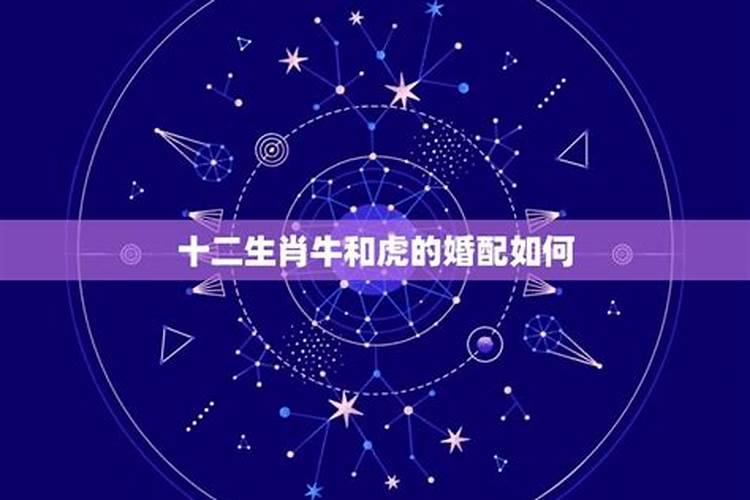 八字算命父母克崽女是什么