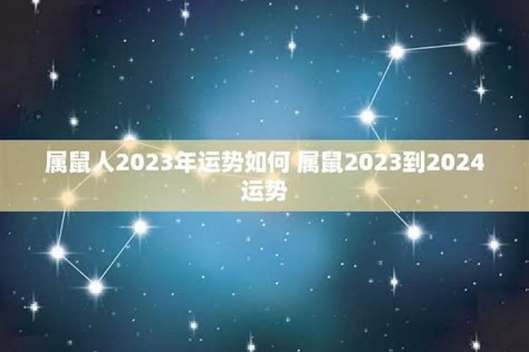 鼠马的人2023年运势