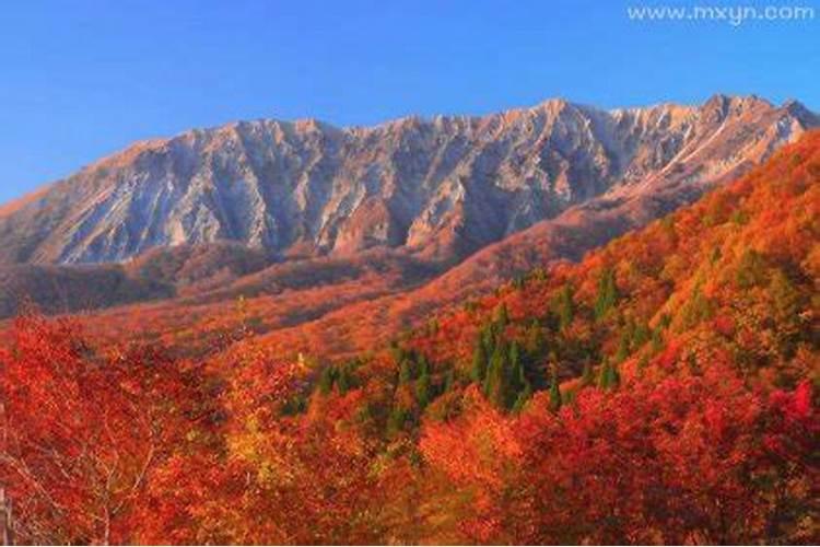 梦见大山是什么预兆解梦