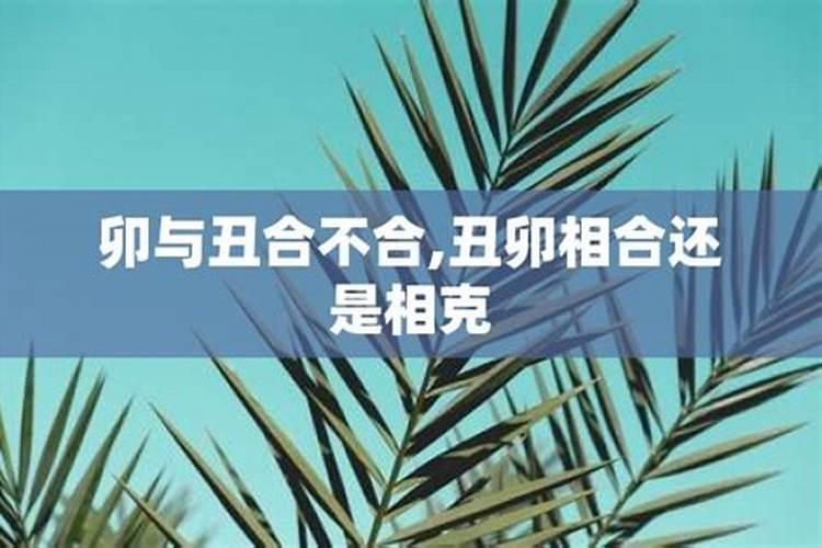 属马的2023年刑太岁吗