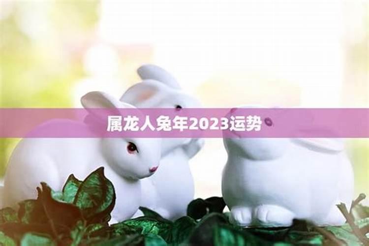 属龙属兔夫妻2023年运程怎么样