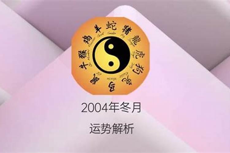 2004年冬月二十四出生的命运