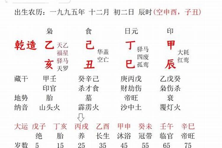 八字排盘日支在什么地方