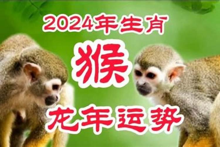 2024年生肖猴的运势