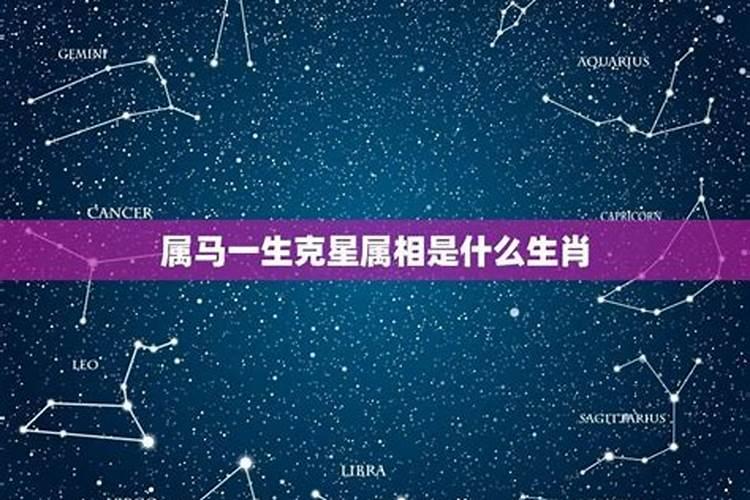 属马的克星是什么属相呢