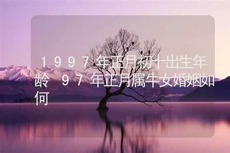 1982年正月初十出生的人是属狗还是属鸡