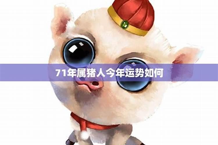 属猪人9月份运势