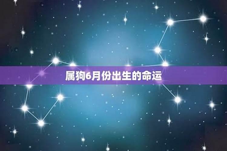 属狗农历6月份出生的命运