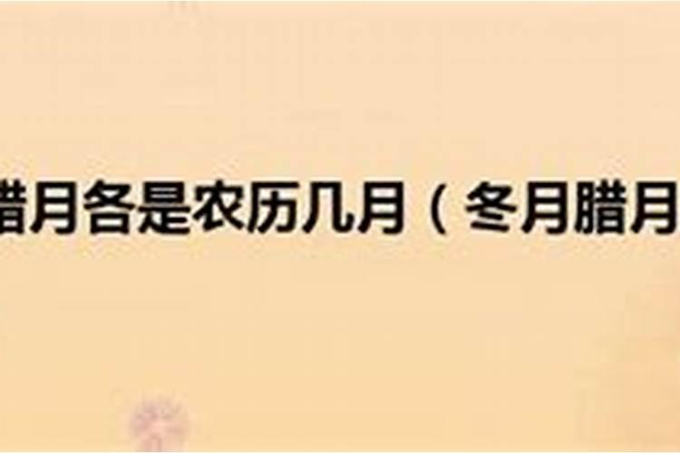 2020农历腊月是几月几日