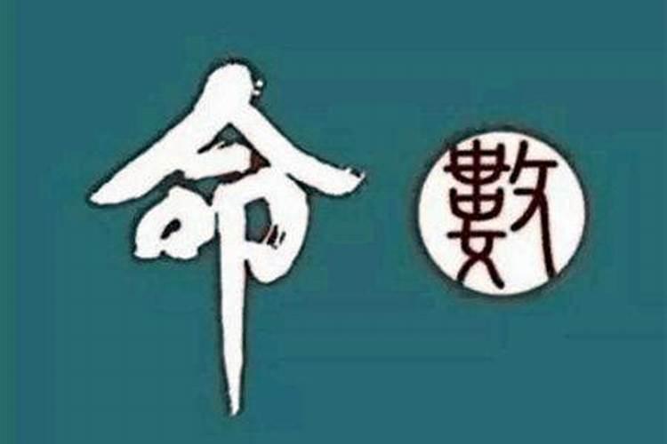 男的八字无财