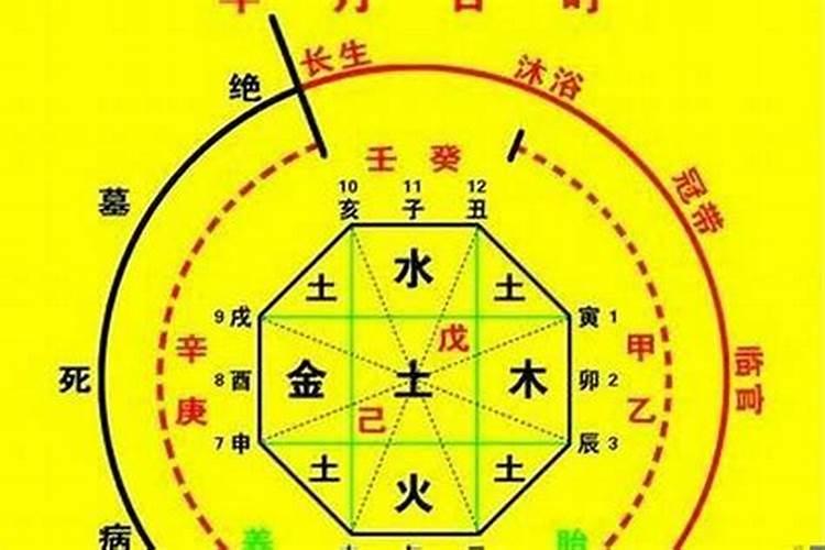 怎么看八字的用神为土还是为水