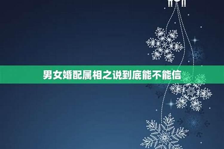 做梦梦见狗死了又活了啥意思呀周公解梦