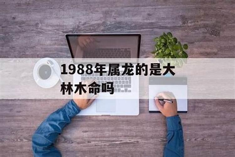 1988年属龙到底是大林木命还是土命