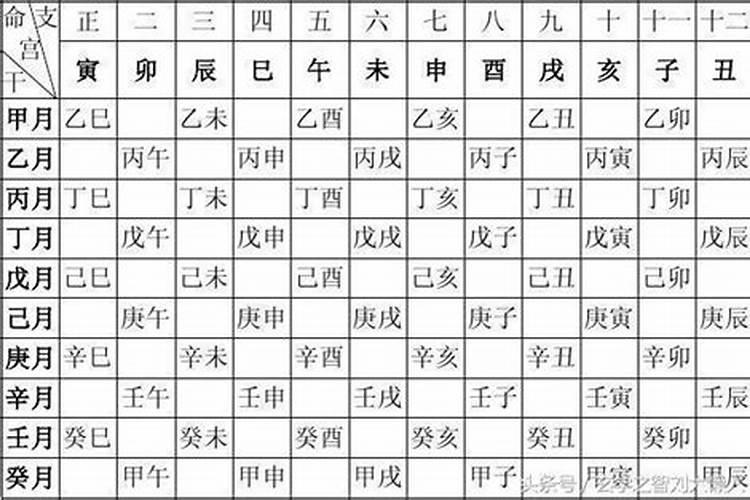 完整的八字