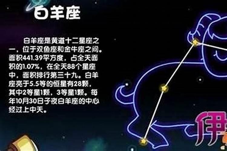 白羊女最佳配对星座男