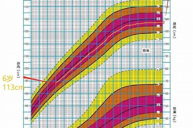 看八字预测孩子身高