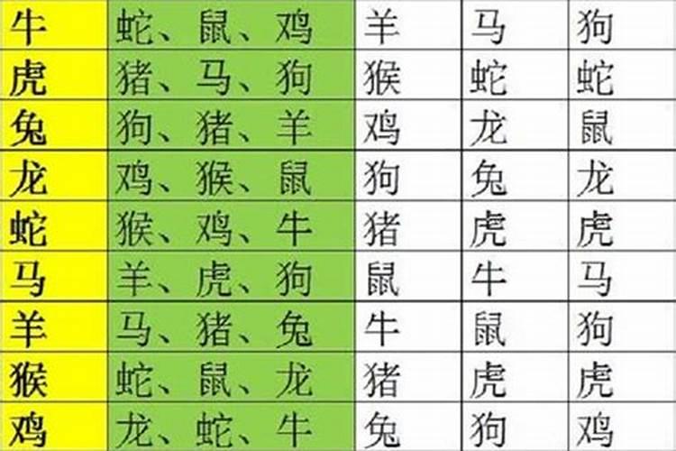 属马和属什么的家人八字不合