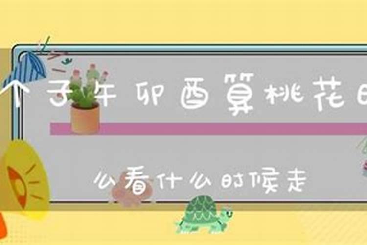 算什么时候有桃花运