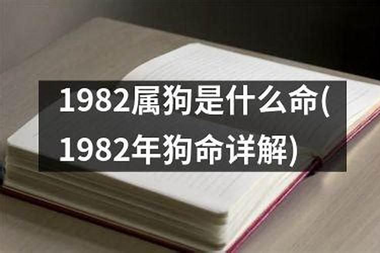 1982年女四月属狗是什么命