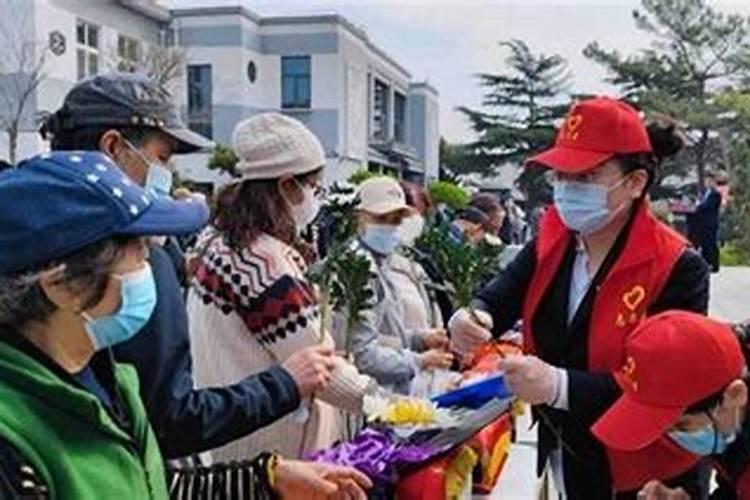 青岛清明节祭扫