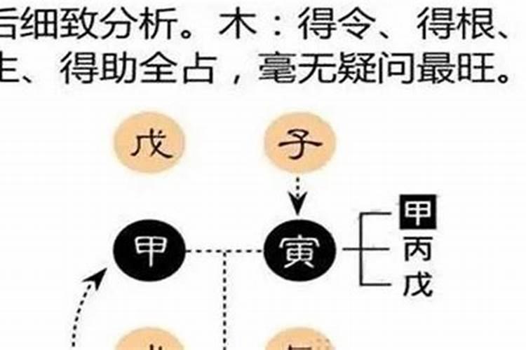 怎样确定人的八字